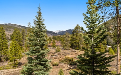 Pines #2071 3