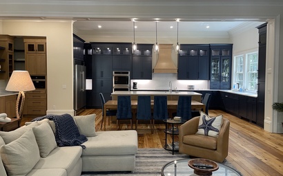 2 Belted Kingfisher 2