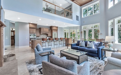 5 Belted Kingfisher 2