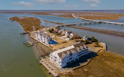 No Egrets 3