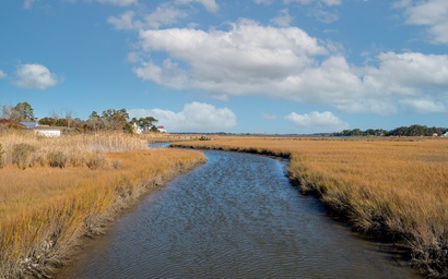 The Teal on Eel Creek 2