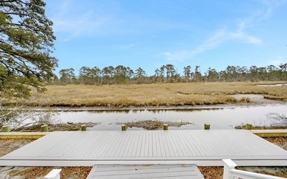 The Feathered Nest 2