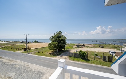 The Porpoise of Life 3