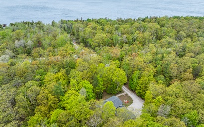 Three Little Birds 5