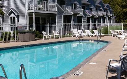 Relaxing Busy Bee (C-7) 5