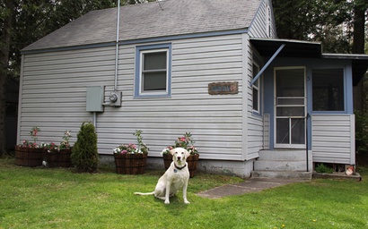 Sunset Shores - Tiger Lily Cabin #5 5