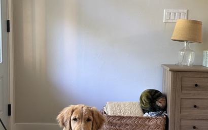 Bearly Hare Cottage 3