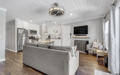 Panorama Alpine 303 5