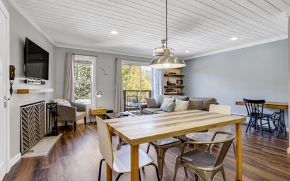 Panorama Alpine 303 2