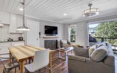 Panorama Alpine 303 4