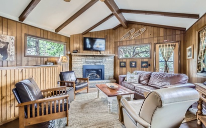 One Particular Cabin - 21-ZONE3105