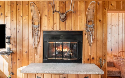 Chasm Cabin - 20-NCD0048 4