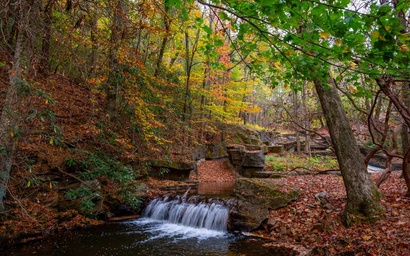 Laurel Landing Lodge 76