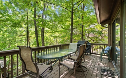 Treetopper Knoll Chalet 16