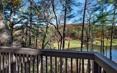 Chickadee's Lake Lookout 21