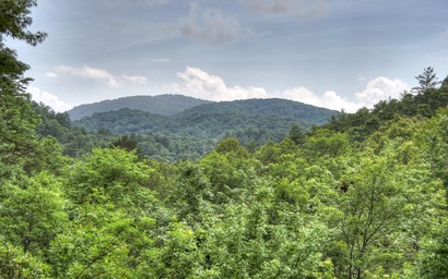 Ole Bear Paw Cabin 3