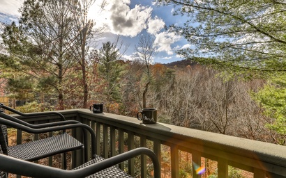Laurel Ridge Lodge 26
