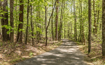 Adventures At Big Canoe 62