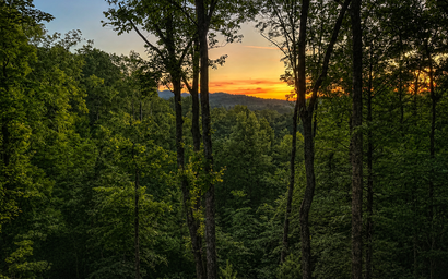 Deer Haven 4