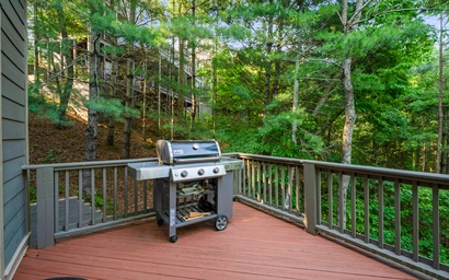 Laurel Landing Lodge 63