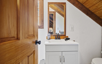 Forest Footprints 23