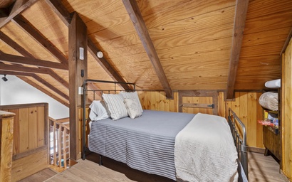 Forest Footprints 20