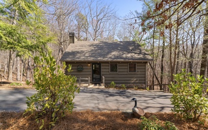 Forest Footprints 29