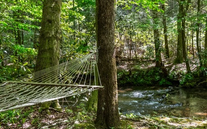 A Creek Runs Thru It 3