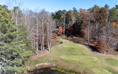 Chickadee's Lake Lookout 38