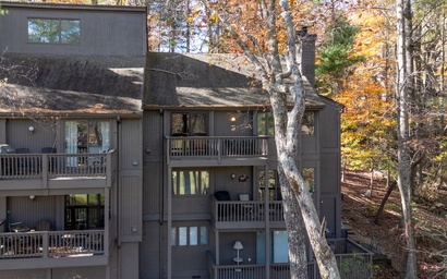 Chickadee's Lake Lookout 34