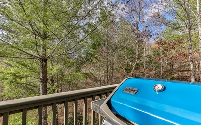 Laurel Ridge Lodge 27