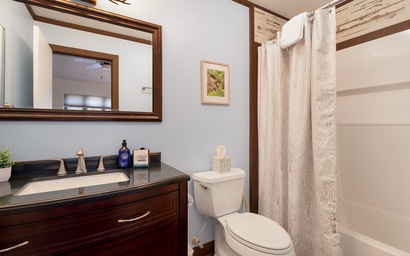 Chickadee's Lake Lookout 25