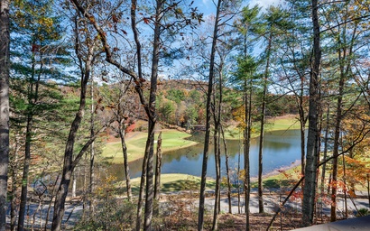 Chickadee's Lake Lookout 39