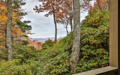 Enchanted Mountain Hideaway 55