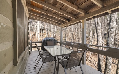 Forest Footprints 25