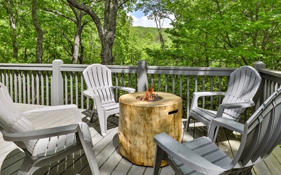 Robins' Nest at Big Canoe 59