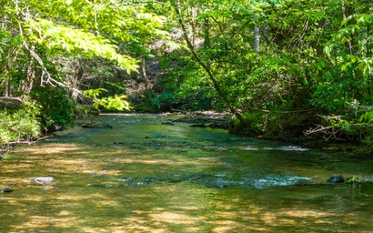 A Creek Runs Thru It 4