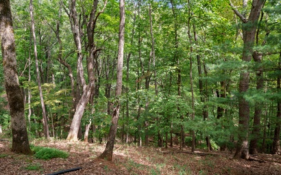 Cozy Mountain Getaway 42