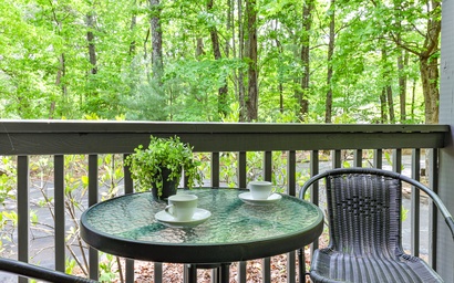 Robins' Nest at Big Canoe 52