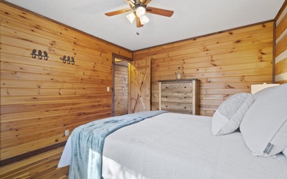 Forest Footprints 17