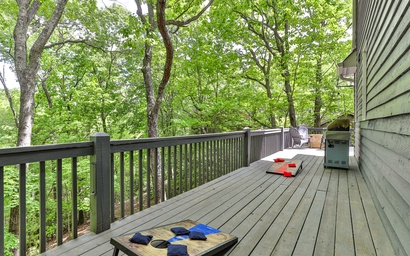 Robins' Nest at Big Canoe 62