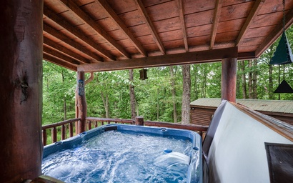 Whippoorwill Calling 3