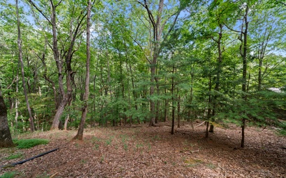 Cozy Mountain Getaway 44