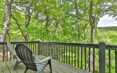 Robins' Nest at Big Canoe 61