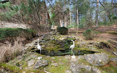 The Reward at Goose Island 4