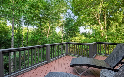 Laurel Landing Lodge 65