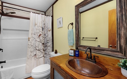 Chickadee's Lake Lookout 30