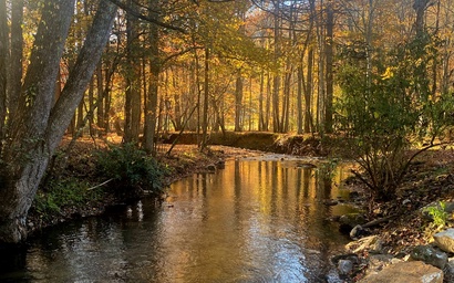 Stanley Creek Lodge 7