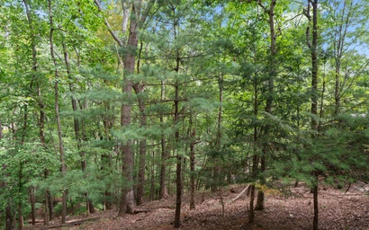 Cozy Mountain Getaway 43