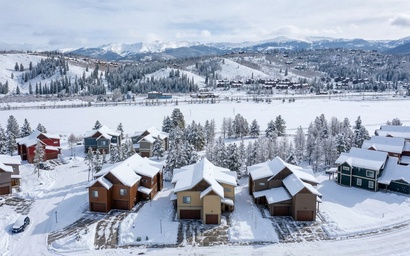 294 Mountain Willow